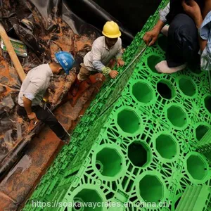 Best Rainwater Collection System thumbnail-4