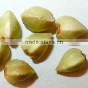 Organic Hulled Buckwheat thumbnail-1