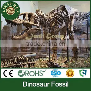 Lisaurus-I Dinosaur Skull Head Dinosaur Skull Puzzle for Dino Park Theme Park Dinosaur Skeleton Puzzles thumbnail-4