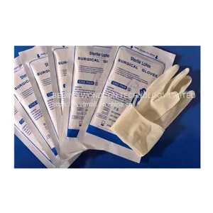 Latex Surgical Gloves thumbnail-1