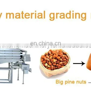 Hot Sale Mongolia Pine Cone Nut Cracker Pine Nut Cone Separating Machine Pine Nut Production Line thumbnail-4