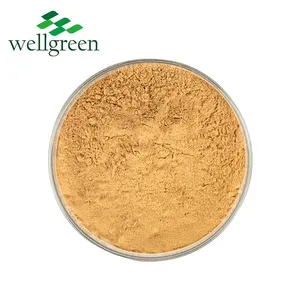 Dong Quai Root Extract Chinese Angelica Extrat Sinensis Dong Powder Ligustilide Powder thumbnail-1