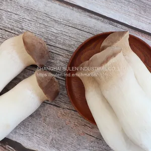 Fresh Mushroom (WWWdotSULEN-INDdotCOM) thumbnail-3