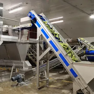 High Efficiency Canned Sweet Corn Production Line Baby Corn Processing Canning Machine IQF Sweet Corn Production Line thumbnail-5