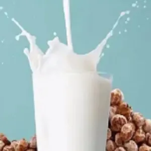 Tigernuts Protein Milk Production Line thumbnail-1