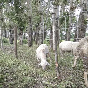 Grassland Farm Guard Agricultural Field Goat Cattle Cow Sheep Galvanized Wire Mesh Fence Netting thumbnail-5
