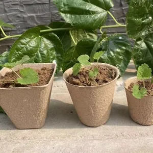 Jiffy Pot Paper Planter Pulp Nursery Cup thumbnail-4