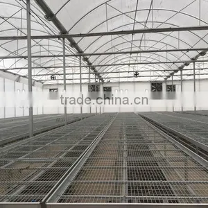UV Treated Plastic Greenhouses for Sale thumbnail-4