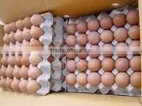 Fresh Table Eggs thumbnail-3