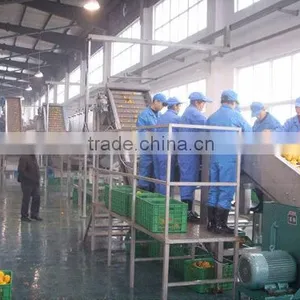 PET Bottle Hot Filling Fruit Juice Line thumbnail-1