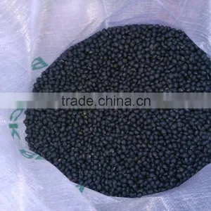 Black Bean thumbnail-2