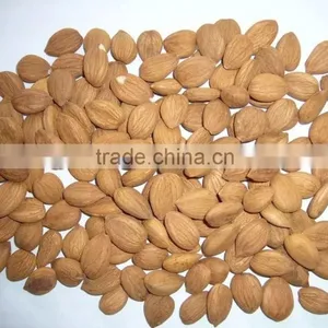 Supply Sweet Apricot Kernels With 8% Bitter thumbnail-3
