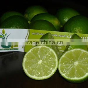 Seedless Lemon thumbnail-3