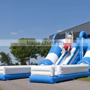 Color Customized Inflatable Water or Dry Slide / Special Design Inflatable Slide for Summer thumbnail-2