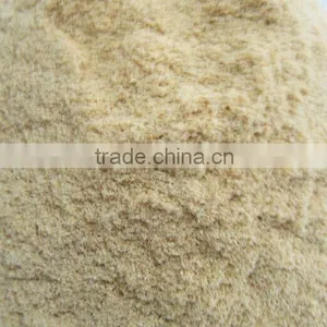 Wood Powder thumbnail-2