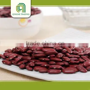 Canned Red Kidney Beans in Brine Pulse thumbnail-5