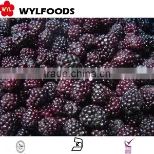 Chian Fruite Frozen IQF Black Berry thumbnail-6