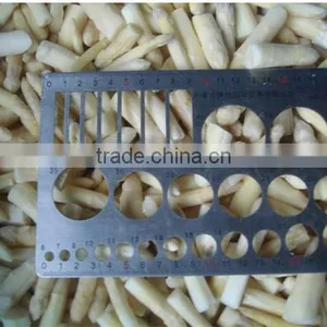 IQF Asparagus White and Green Tips and Cuts thumbnail-5