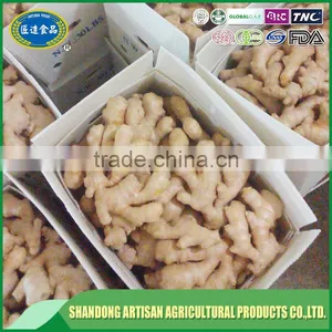 Air Dried Ginger thumbnail-5
