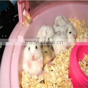 Wood Shaving Machine/Wood Grinder/Wood Crushing Machine thumbnail-3