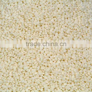 PSM Eco-friendly Corn Starch Biodegradable Plastic Material Granules thumbnail-6
