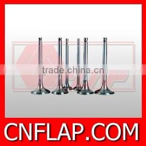 Exhaust Valve thumbnail-2