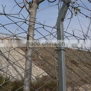 China Chain Link Wire Mesh Fencing , PVC Coated Chain Link Fences ,Plastic Chain Link Fence ( ISO9001 Certificated ) thumbnail-6