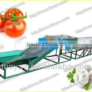 THOYU Brand Vegetable and Fruit Grading Machine by Size(skype:serathoyu) thumbnail-1