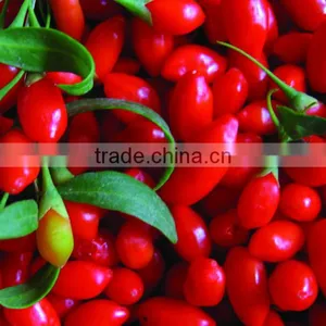 BEST Wolfberry Color Sorting Machine With High Quality In China thumbnail-2