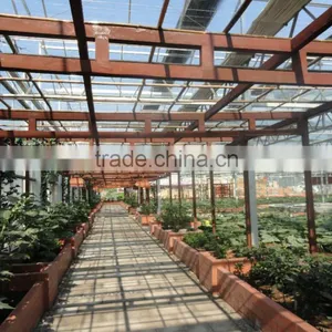 Xinhe Glass Greenhouse for Hot Sale thumbnail-1