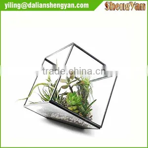 The Cube Shape Planter,geometric Glass Terrarium thumbnail-2