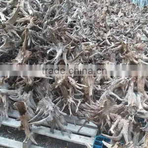 Hallow Natural Driftwood Root Landscape Design for Reptile thumbnail-2