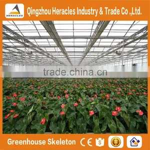 Heracles Versatile Multi Span Poly Film Greenhouse for Hydroponic Growing Systems of NFT and Soilless Systems thumbnail-3