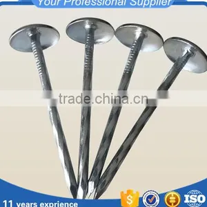 Galvanised/zinc Plated Umbrella Roofing Nails thumbnail-4