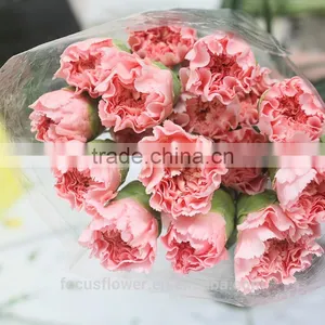 Multi-colored Wholesale Carnation Heads for Love, Anniversary thumbnail-4