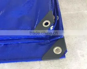 Shantou Shuangpeng Plastic Industrial Co., Ltd. company overview - view 3 thumbnail