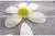 Latest Design Casual Women Grey Flower Print Raglan Sleeve Dip Hem Sweater Design For Women thumbnail-2