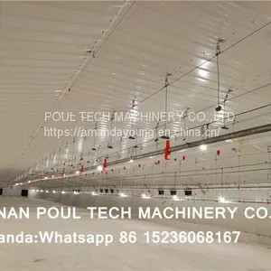 Congo Chicken Shed Broiler Deep Litter System & Broiler Flooring Raising System With Nipple Drinker System & Feeding Pan System thumbnail-2