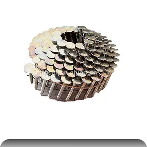 Coil Roofing Nails thumbnail-2