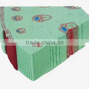 Monocot Stem Model thumbnail-1
