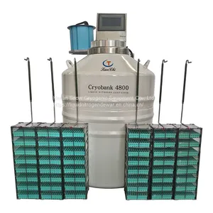 Gas Phase Dewar Flask thumbnail-1