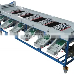 Orang Sorter Machine/ Mandarin Orange Sorting Machine/ Apple Grading Machine thumbnail-4
