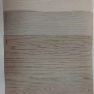 Jiangsu Xinfeng Star Film Material Co., Ltd. company overview - view 1 thumbnail