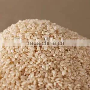 Instant Rice Porridge Making Machine thumbnail-3