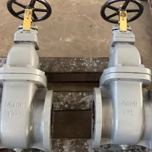 Marine Valves JIS F7363 Cast Iron Gate Valve 10K DN80 5K DN150 Flange Bronze Gate Valve Factory Price thumbnail-6