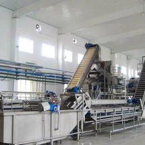 Factory Genyond Complete Prickly Pear Fruit Juice Paste Production Line / Prickly Pear Jam Processing Plant Making Machine thumbnail-6