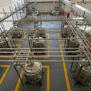 Vegetable Powder Production Line Instant Onion Powder Making Machine thumbnail-2