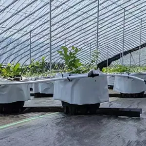 Original Manufacturer of Orchard Weed Control Fabric and Agricultural Weed Barrier Fabric Exporter for Foreign Trade thumbnail-4