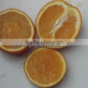 Chinese Navel Orange for Sale thumbnail-1