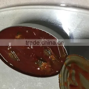 Oval Canned Sardine thumbnail-2